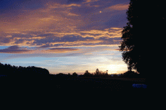 DSC04209